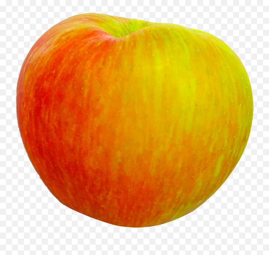 Honeycrisp Apple Fruit Food Png Picpng Emoji,Apples Transparent Background