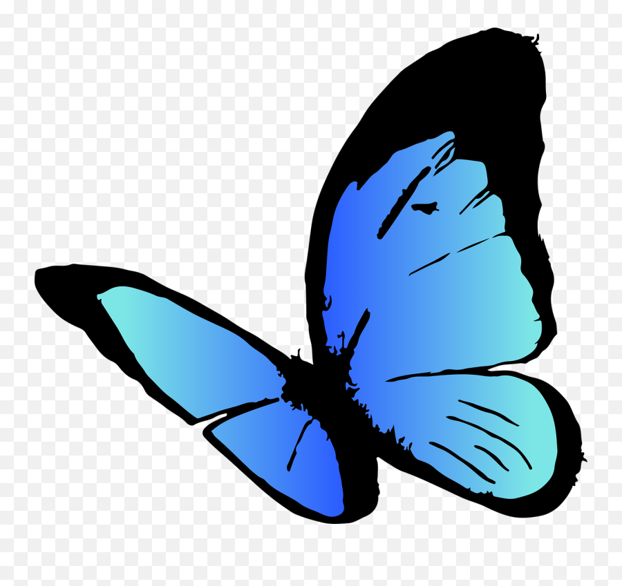 Free Photo Wings Insect Butterfly Blue Butterfly - Max Pixel Emoji,Blue Butterfly Clipart