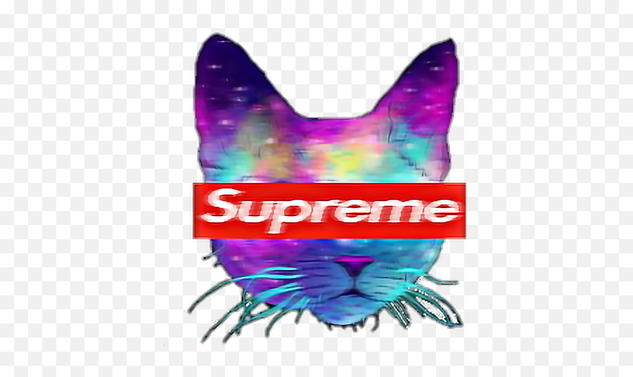Download Cat Tumblr Supreme Cool - Supreme Cool Logo Png Emoji,Supreme Png