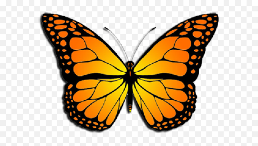 Monarch Butterfly Clipart August - Clipart Monarch Butterfly Png Emoji,Butterfly Clipart