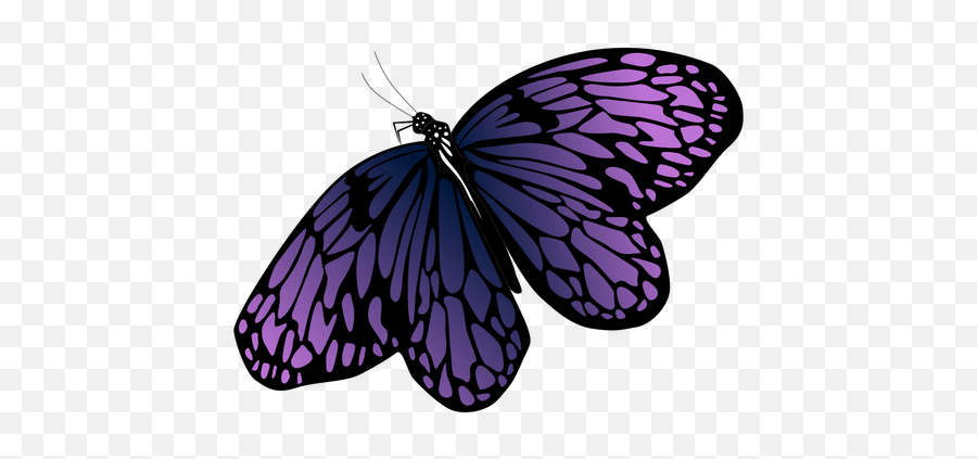 Detailed Purple Butterfly Design - Transparent Png U0026 Svg Purple Butterfly Vector Png Emoji,Butterfly Transparent