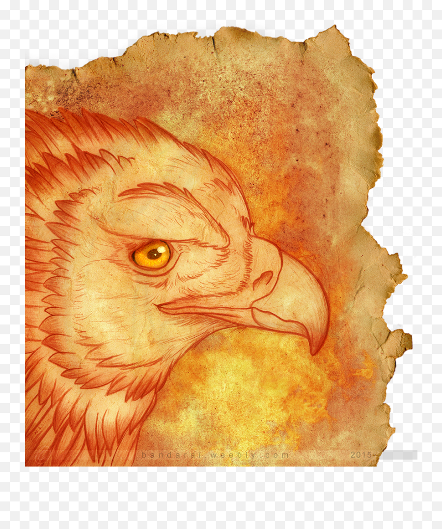 Download Hd Rise From The Ashes - Old Paper Transparent Png Bald Eagle Emoji,Old Paper Png