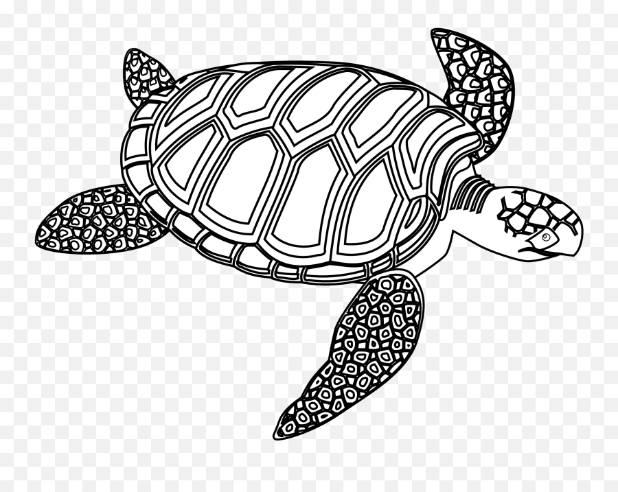 Sea Turtle Turtle Clip Art Black And - Sea Turtle Clip Art Black And White Emoji,Sea Turtle Clipart