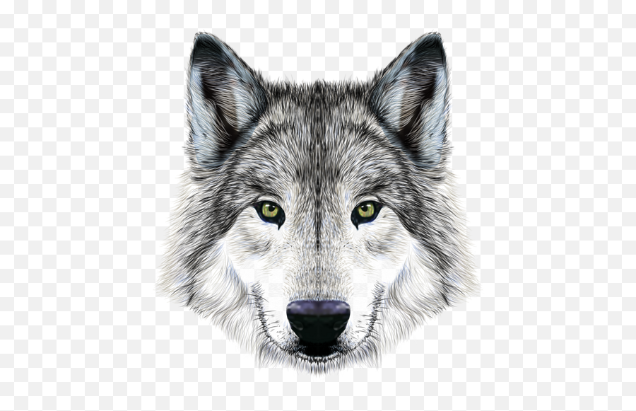Vivid Dog Face Background Vector 01 Png - Grey Wolf Head Emoji,Wolf Face Png
