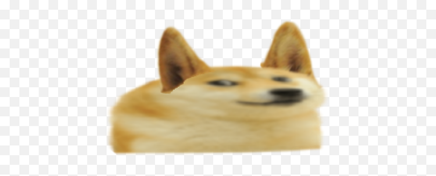 Not Quoge Quoge With Ears Rdogelore Ironic Doge Memes Emoji,Dog Ears Png