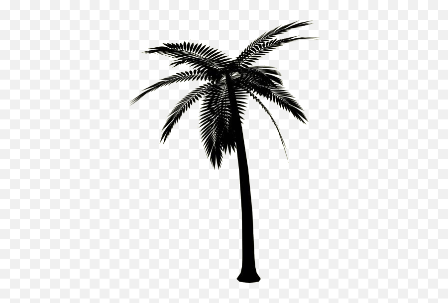 Palm Tree Transparent Png Clipart Free Download Pngimagespics Emoji,Palm Trees Clipart Black And White