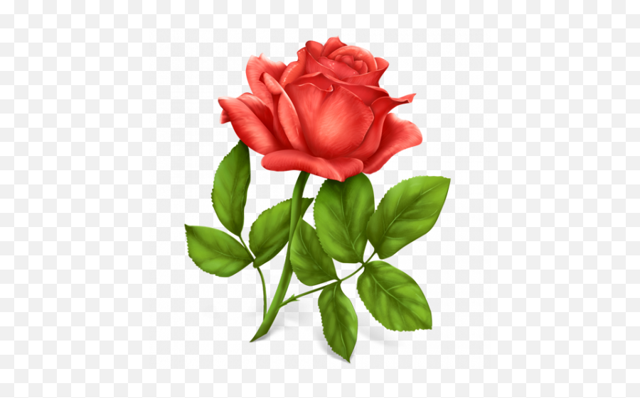 Red Rose Flower Png Images Hd - 2021 Full Hd Transparent Png Emoji,Red Rose Transparent Background
