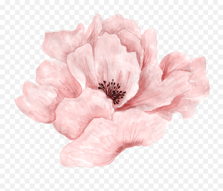 Free Transparent Pink Flowers Png Emoji,Pink Flower Png