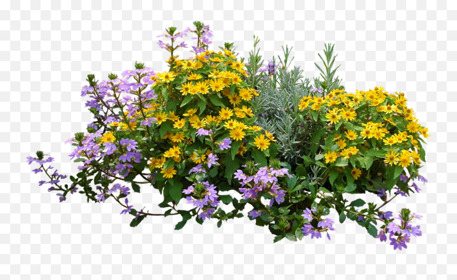 Flower Garden Png Images - Garden Png Emoji,Garden Png