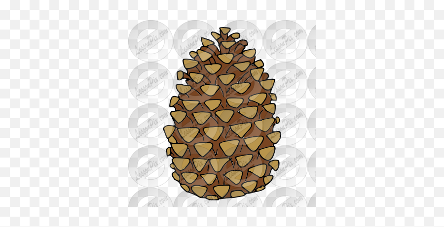 Pine Cone Picture For Classroom Therapy Use - Great Pine Virginia Pine Emoji,Cone Clipart