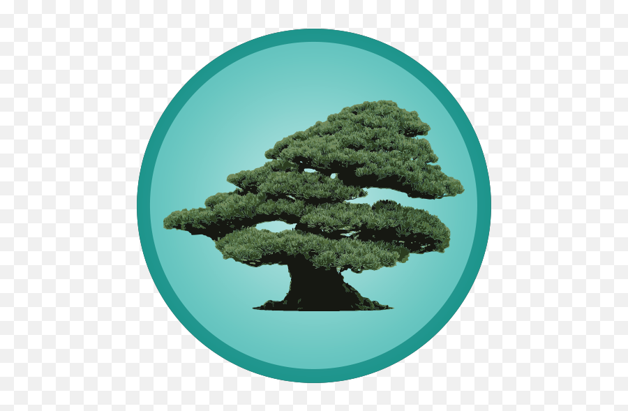 Owaves Weu0027re Growing Emoji,Bonsai Tree Clipart