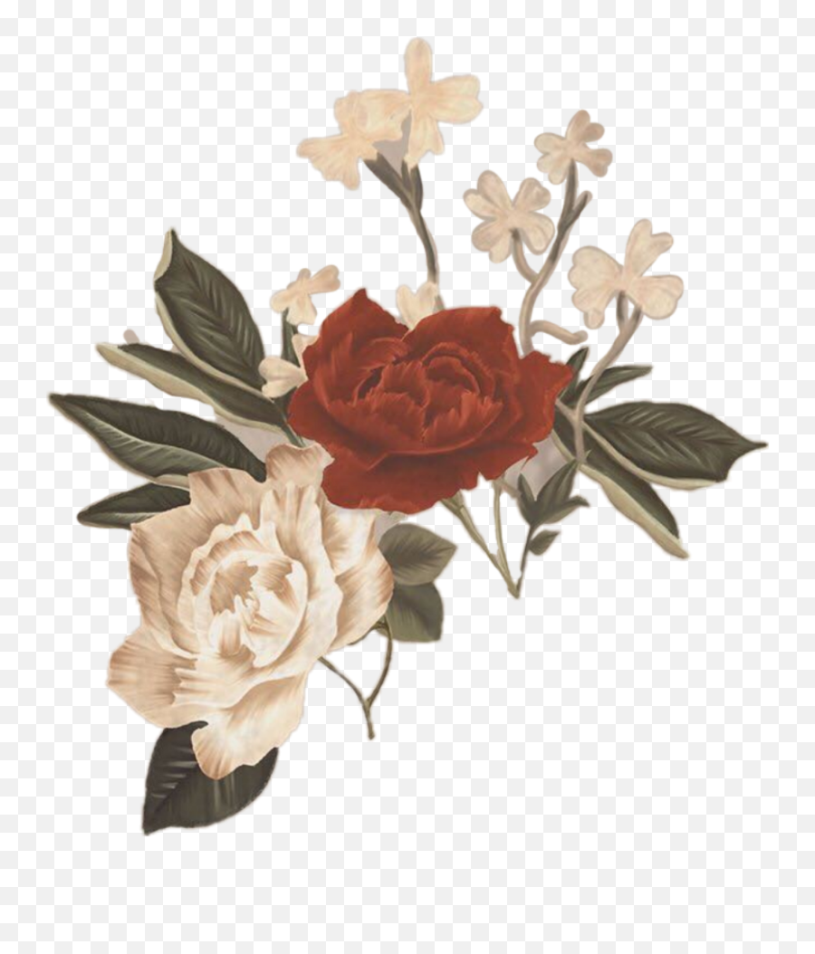 Flower Flowers Flor Flores Png - Shawn Mendes Roses Png Emoji,Flores Png