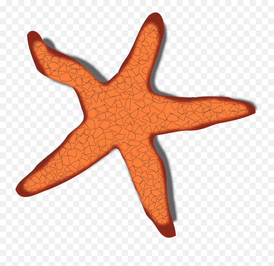 Starfish Svg Vector Starfish Clip Art - Svg Clipart Emoji,Starfish Clipart Png