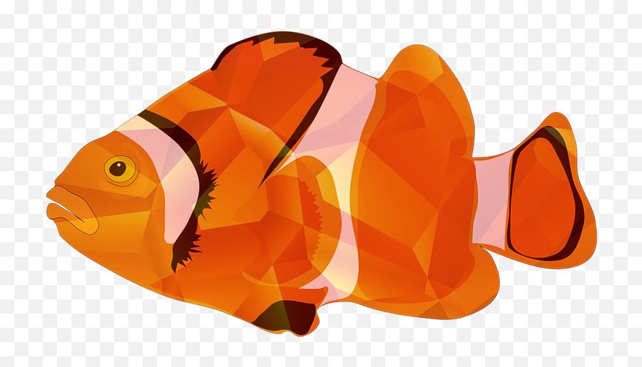 Download Free Photo Of Fish Fishing Types Of Fishing Emoji,Fish Png Transparent