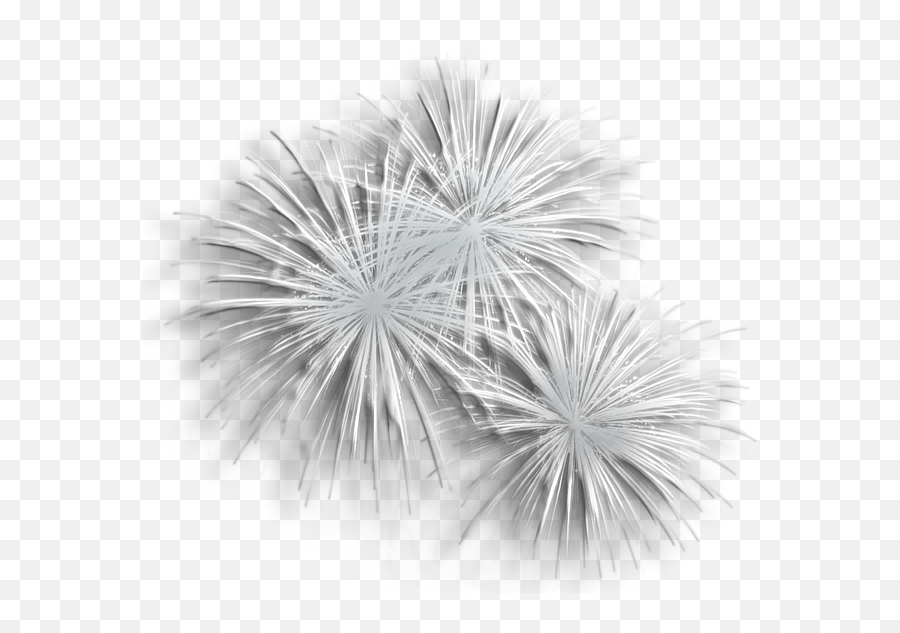 Fireworks White Background Transparent Gif Full Size Png - Background White Fireworks Png Emoji,Fireworks Transparent Background