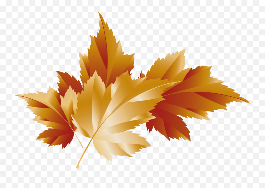 Leaf Clipart Transparent Background Leaf Transparent - Autumn Foliage Clipart Png Emoji,Fall Leaf Clipart