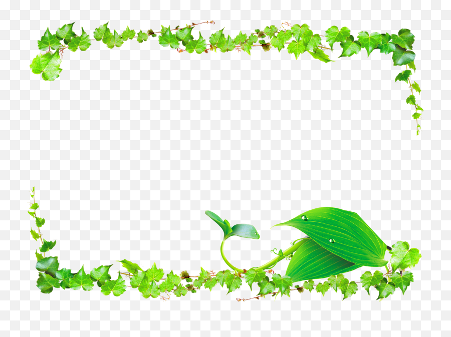 Transparent Background Vine Border Png - Green Leaf Banner Png Emoji,Vines Png