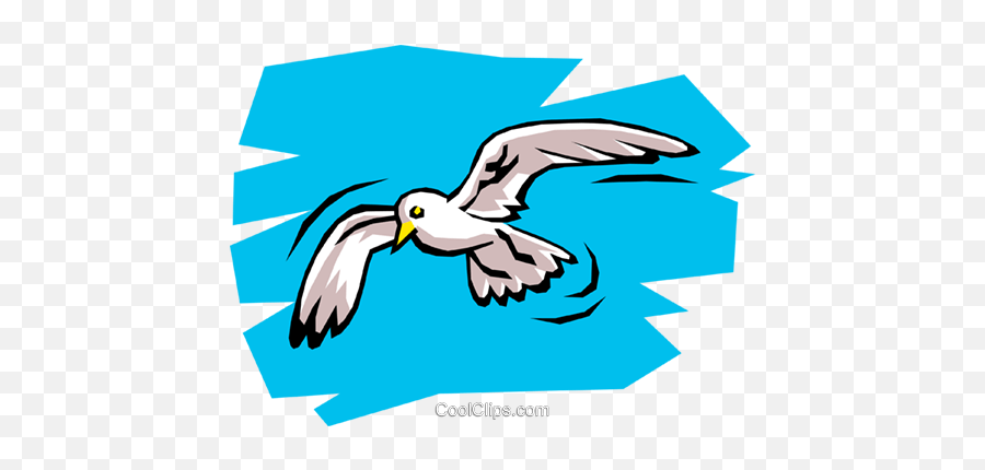 Seagull Royalty Free Vector Clip Art Illustration - Anim0742 Seagull Royalty Free Clipart Emoji,Seagull Clipart
