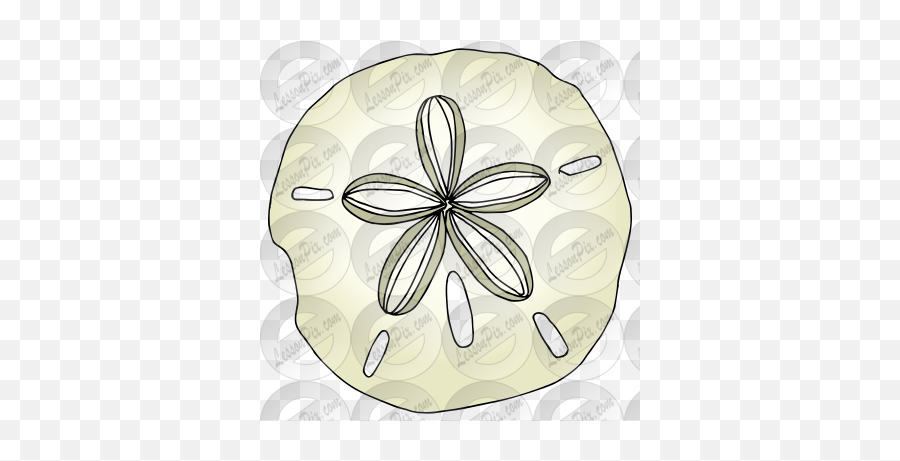 Sanddollar Picture For Classroom Therapy Use - Great Emoji,Sand Dollar Png