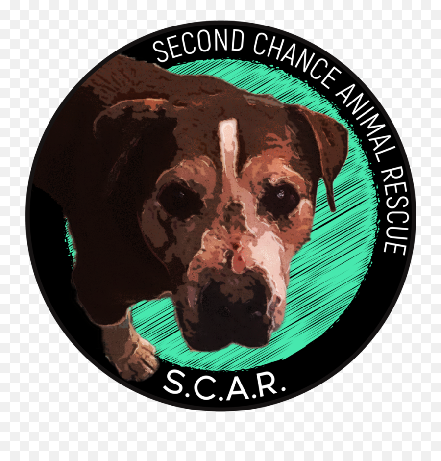 Our Mission U2014 Scaramarillo - Rare Dog Breed Emoji,Scar Png