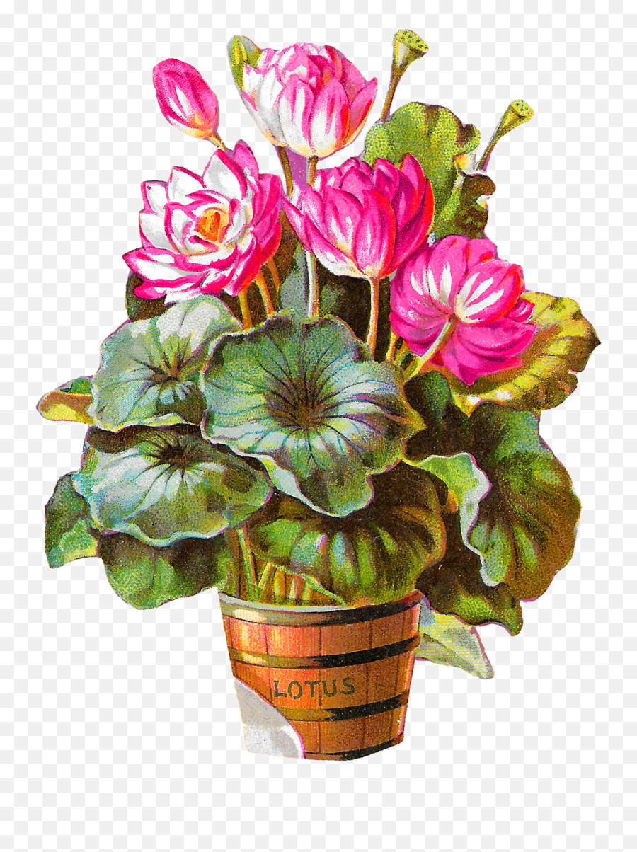 Digital Potted Plant Clipart Download - Flowerpot Emoji,Plant Clipart