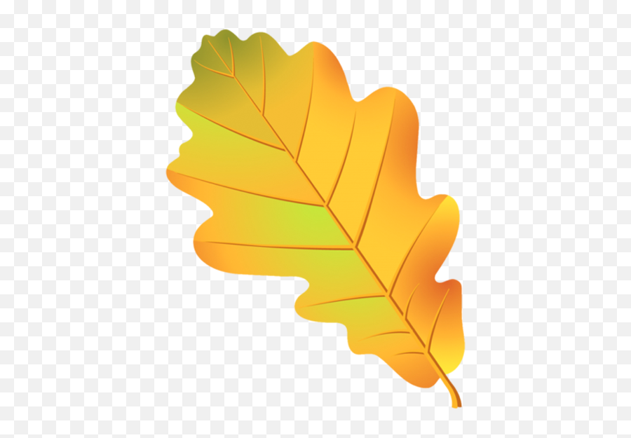 Leaf Oak Tree Acorn Drawing - Oak Tree Leaves Clipart Png Transparent Oak Leaf Emoji,Leaves Clipart