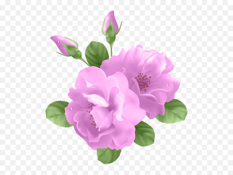 Download Compartir En Facebookcompartir - Purple Roses Purple Flowers Art Png Emoji,Roses Clipart