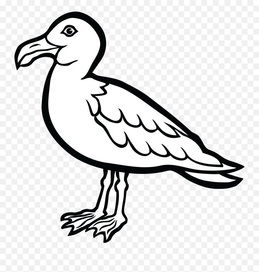 Clip Art Water Bird Clipart Clipground - Gull Clipart Black And White Emoji,Bird Clipart Black And White