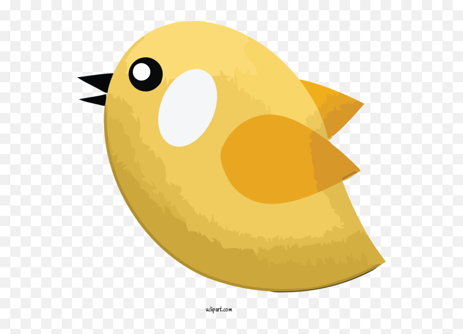 Animals Birds Ducks Water Bird For Bird - Bird Clipart Emoji,Ducklings Clipart