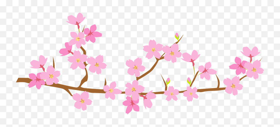 Cherry Blossoms Branch Clipart Free Download Transparent - Transparent Flower Branch Clipart Emoji,Cherry Blossom Clipart