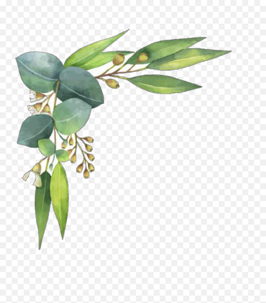 Ftestickers - Watercolor Plant Border Png Emoji,Greenery Png