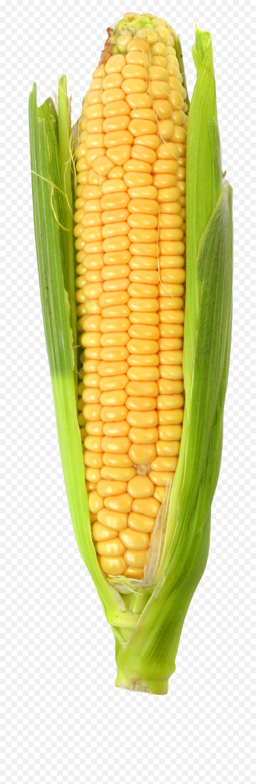 Corn Clipart Vegitables Picture - Corn Png Emoji,Corn Clipart