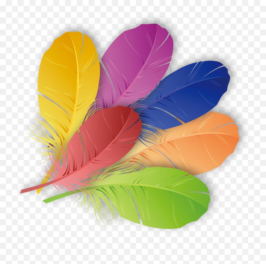 Colored Feathers Png Transparent Png - Colorful Feather Vector Png Emoji,Feathers Clipart