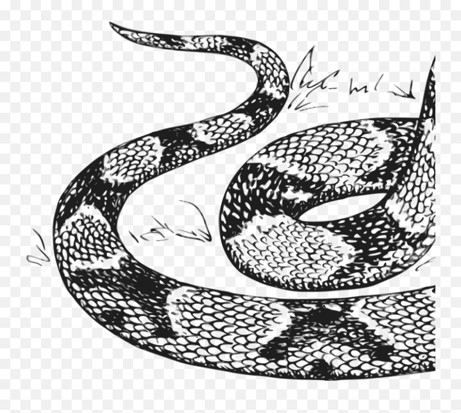 Copperhead Snake Svg Vector Copperhead - Snake Coloring Pages Emoji,Snake Clipart Black And White