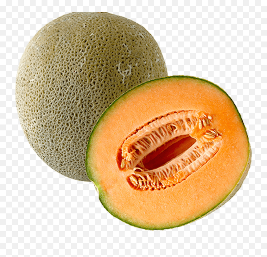 Melon Png Transparent Png - Transparent Cantaloupe Png Emoji,Melon Png