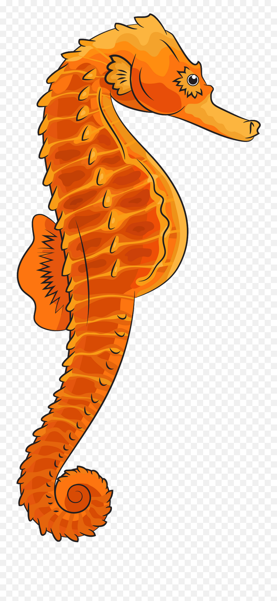 Seahorse Clipart - Girly Emoji,Seahorse Clipart