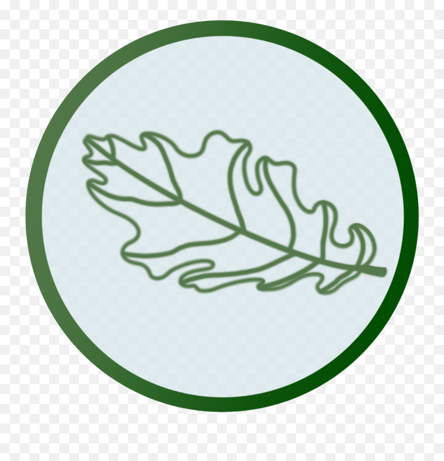 The Oak Leaf - A Studentoperated Publication At Santa Rosa Emoji,Confused Nick Young Png