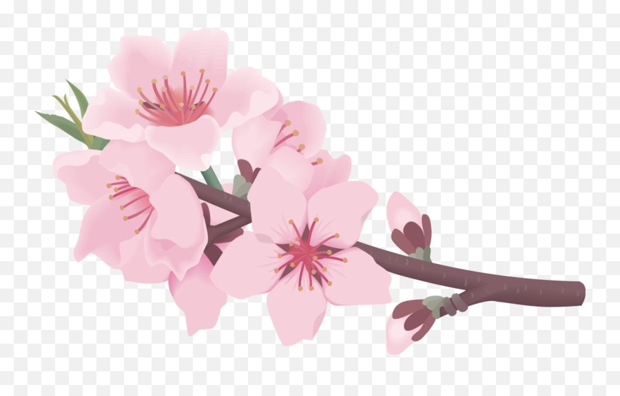 Openclipart - Clipping Culture Pink Peach Blossom Clipart Emoji,Cherry Blossom Clipart