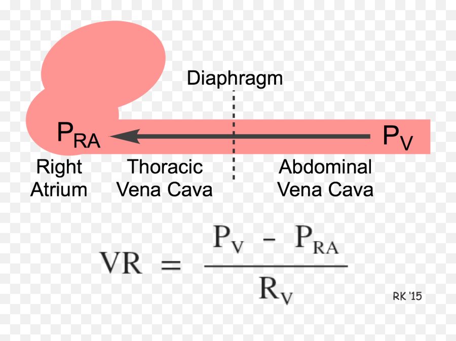 Cv Physiology Venous Return - Hemodynamics Intrathoracic Pressure And Venous Return Emoji,Gradient Png