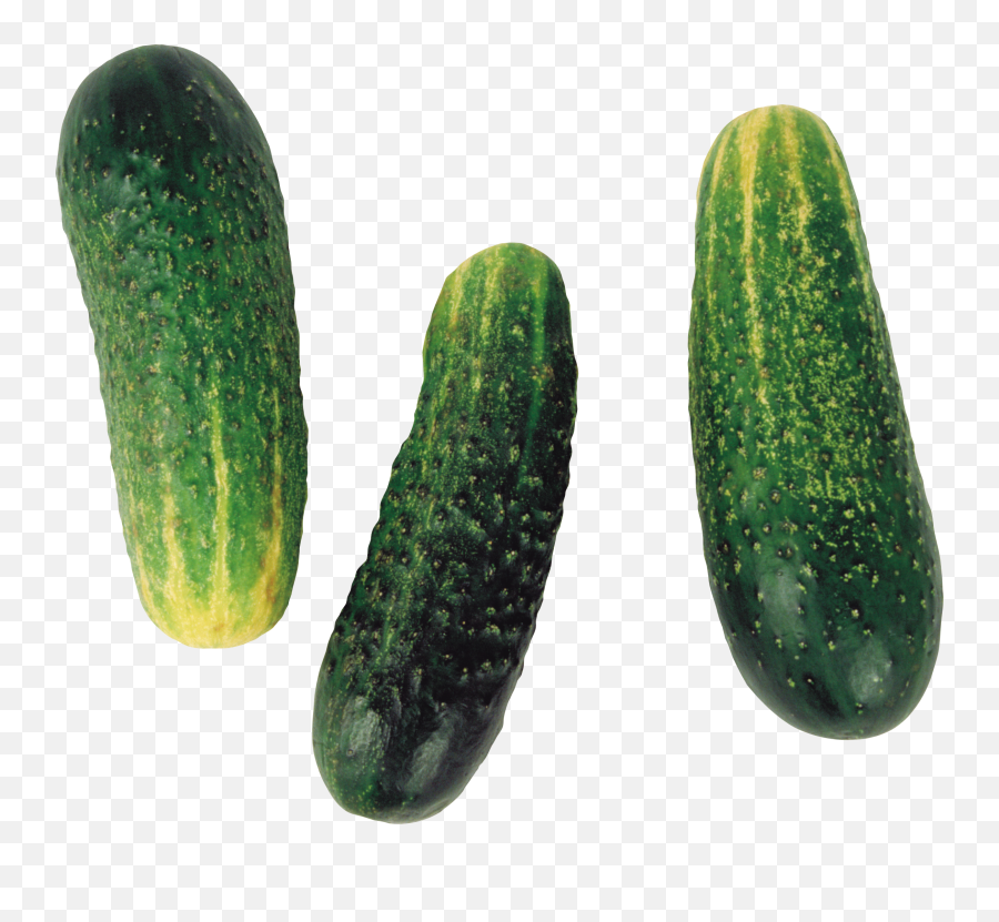 Download Cucumber Free Png Transparent Image And Clipart - Concombre Fond Transparent Emoji,Cucumber Png