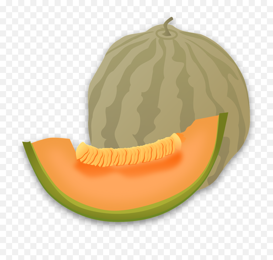 Cantaloupe Melon Fruit Food Png - Melon Clip Art Emoji,Melon Png