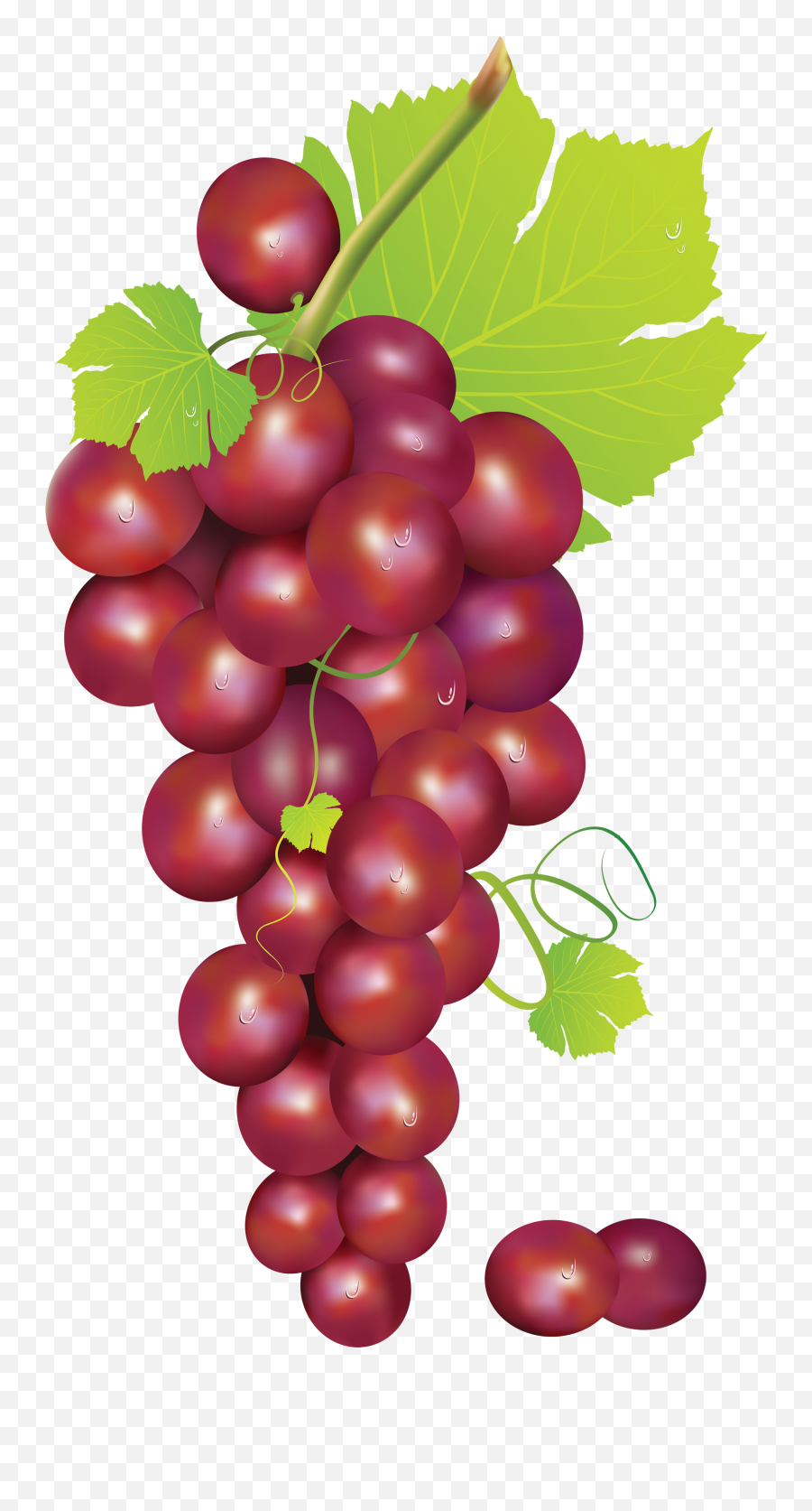 Grapes Vine Clipart Free Images - Red Grapes Clipart Png Emoji,Vine Clipart