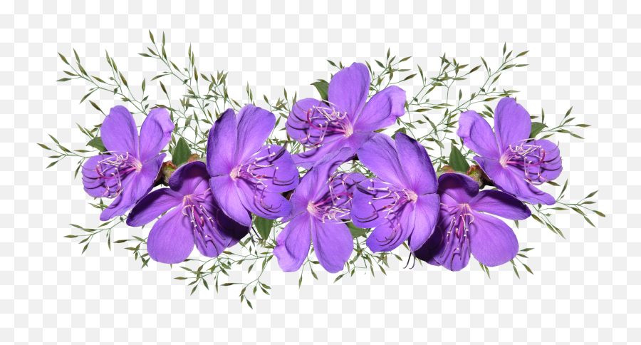 Flowers Purple Arrangement Garden Natureflowers Purple - Purple Flower Png Emoji,Nature Png