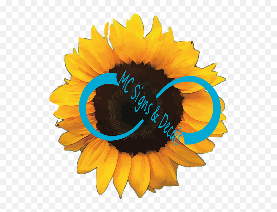 Wc Sunflower 3 Emoji,Watercolor Sunflower Png