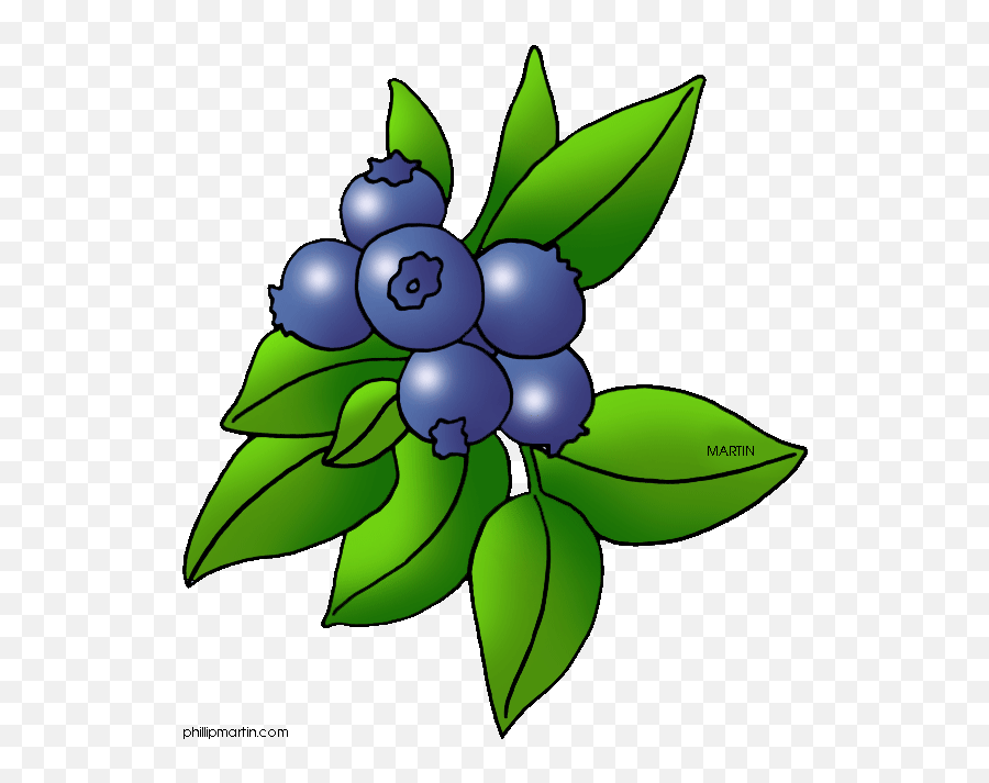 Clipart Panda - Clipart Blueberry Bush Emoji,Blueberry Clipart