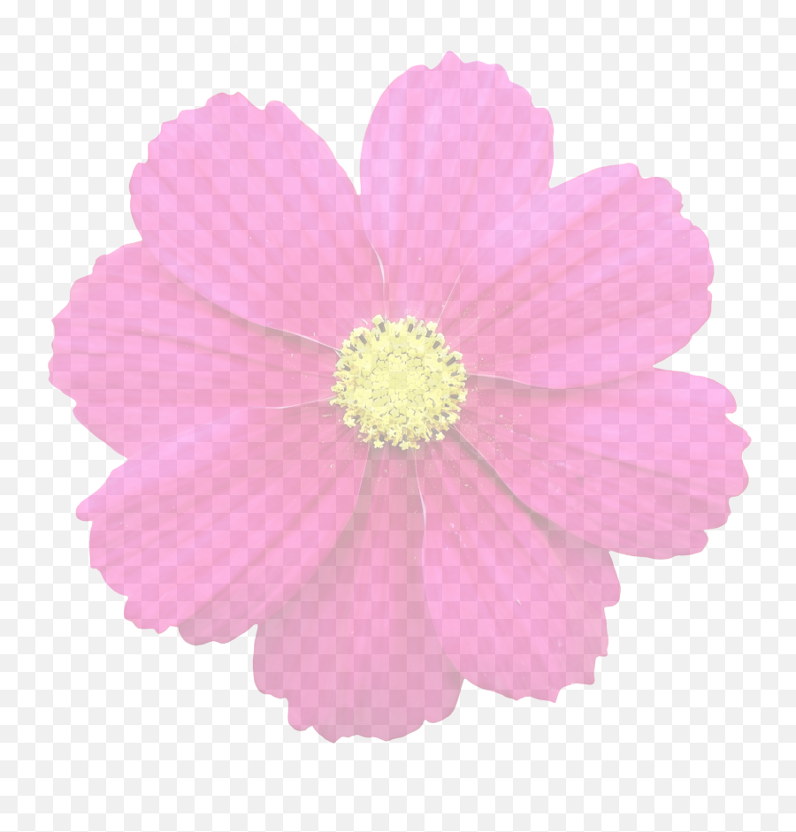 Summer Flower Transparent Graphic - Portable Network Graphics Emoji,Flower Transparent