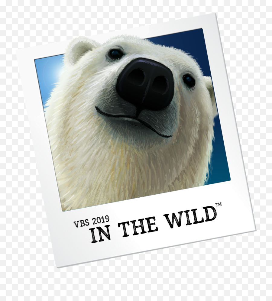 Lifeway Vbs Vacation Bible School Vbs - Polar Bear Emoji,Lifeway Vbs 2019 Clipart