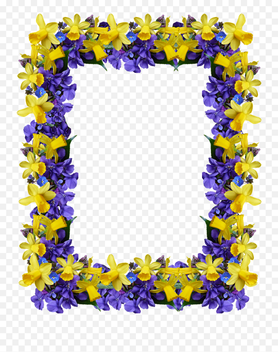 Frame Spring Flowers Free Photo - Frame Border Design Yellow Purple Yellow Flowers Png Emoji,Spring Border Clipart