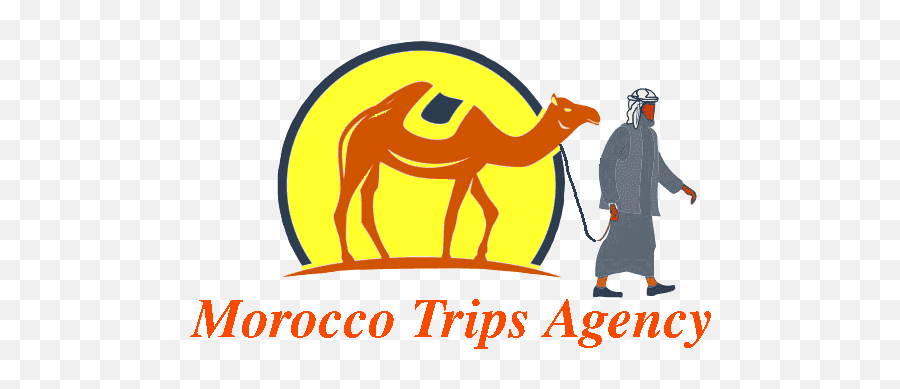 Transportation From Marrakech Or Fes Ctm - Camel Logo Vector Free Emoji,Camel Logo