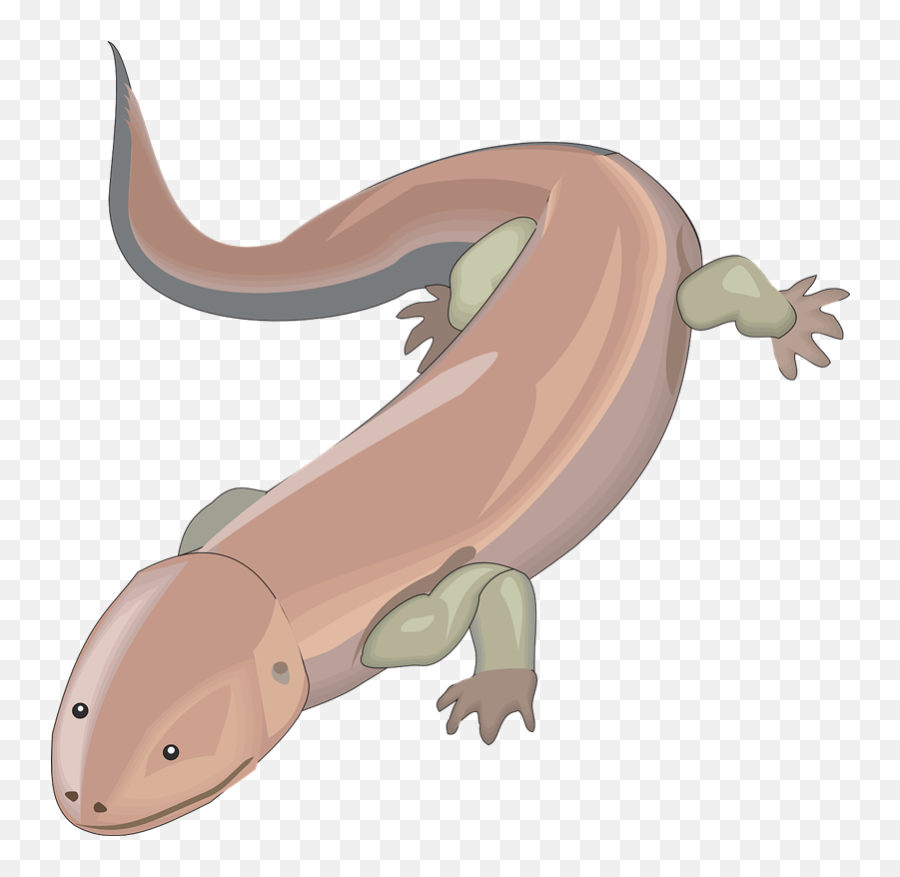 Axolotl Cartoon - Chinese Giant Salamander Clipart Emoji,Axolotl Clipart